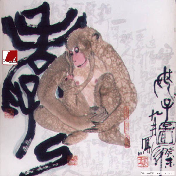 猴 Monkey 7.