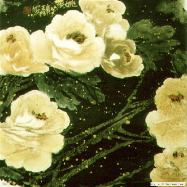 牡丹花 Peony 1.