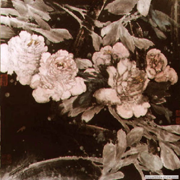 牡丹花 Peony 10.