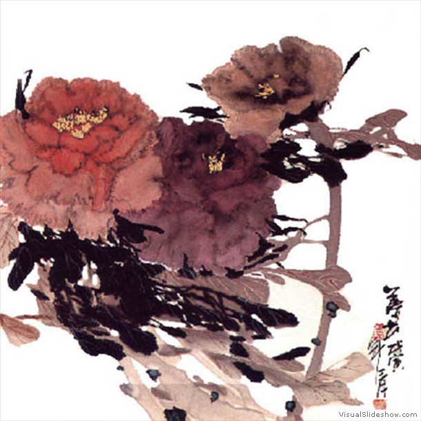 牡丹花 Peony 12.