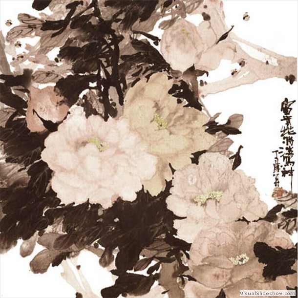 牡丹花 Peony 13.
