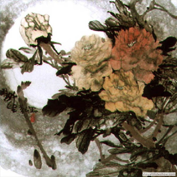 牡丹花 Peony 16.