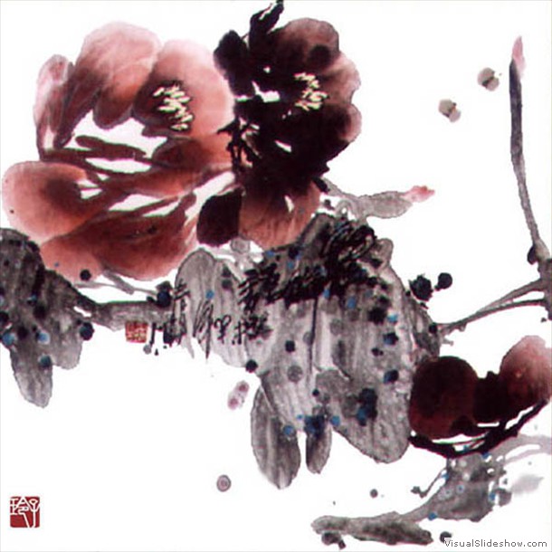 牡丹花 Peony 19.