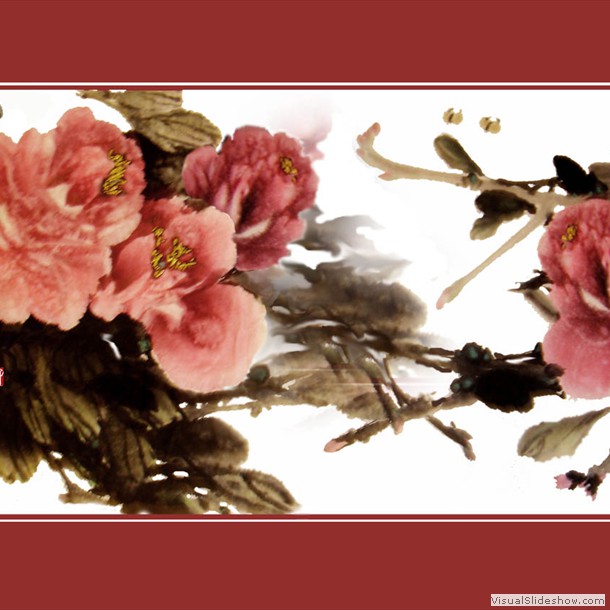 牡丹花 Peony 22.
