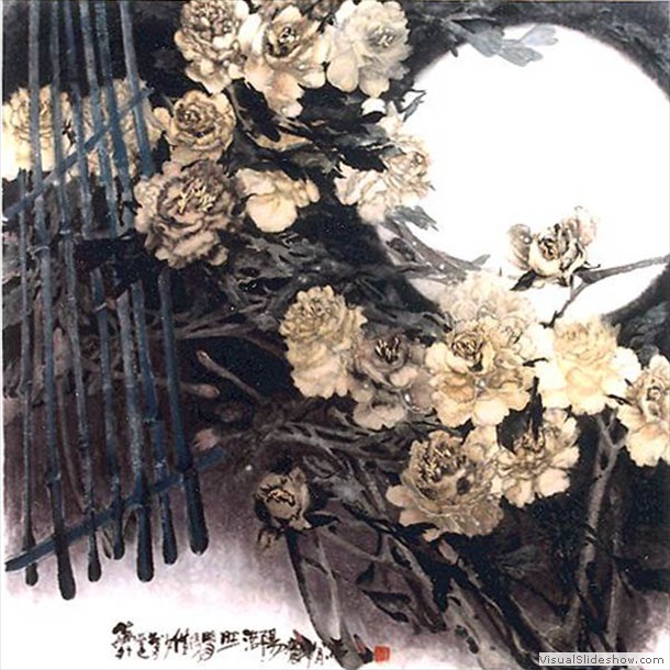 牡丹花 Peony 24.