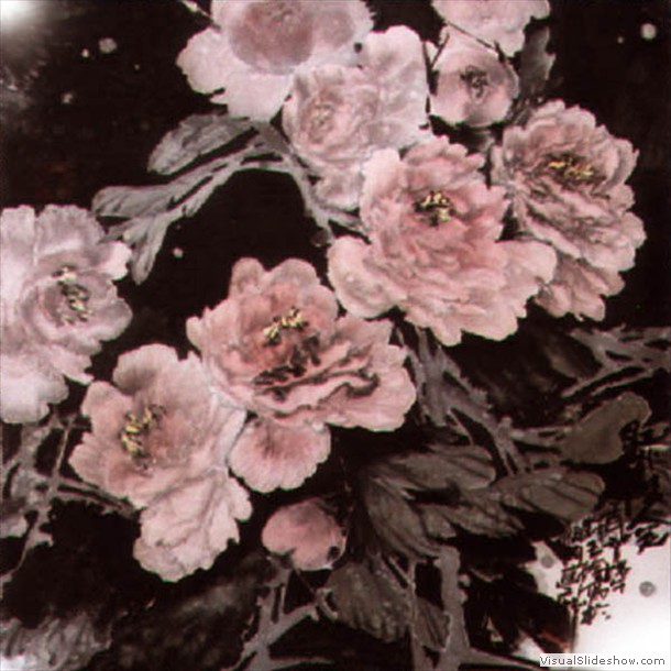 牡丹花 Peony 27.