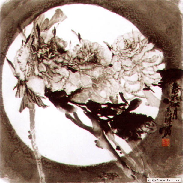 牡丹花 Peony 29.