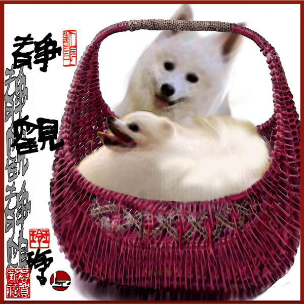 狗 Dogs 4.
