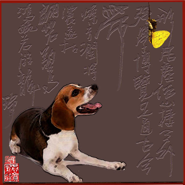 狗 Dogs 5.