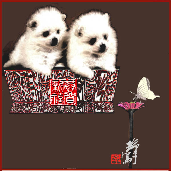狗 Dogs 6.