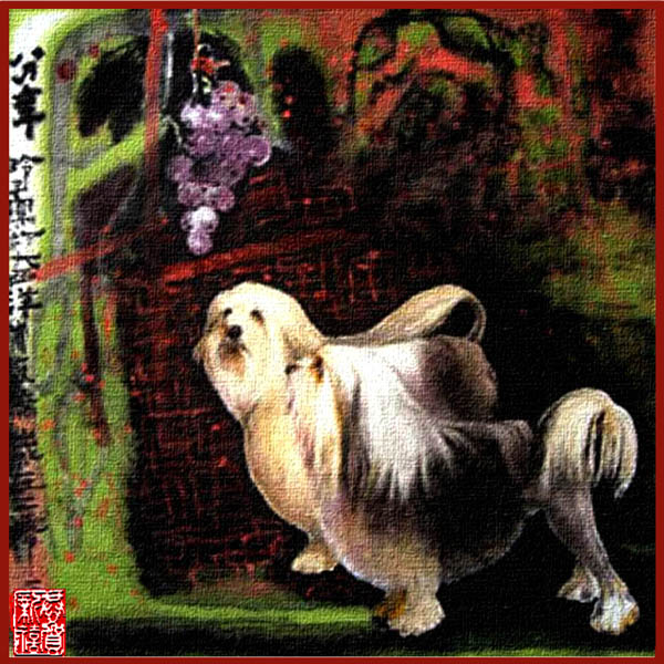 狗 Dogs 8.