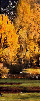 Click to enlarge Highslide JS